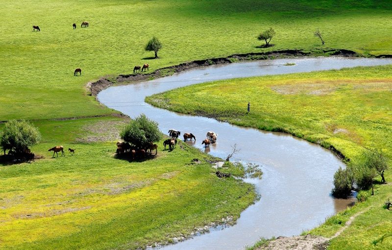 Kanyargós patak a mezőn