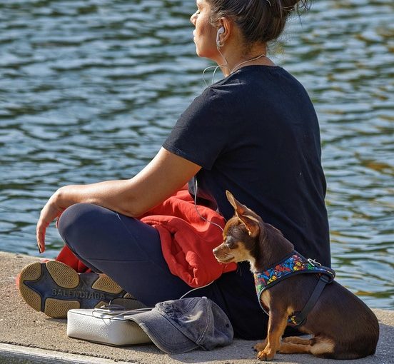 Egyenes hátú ülés